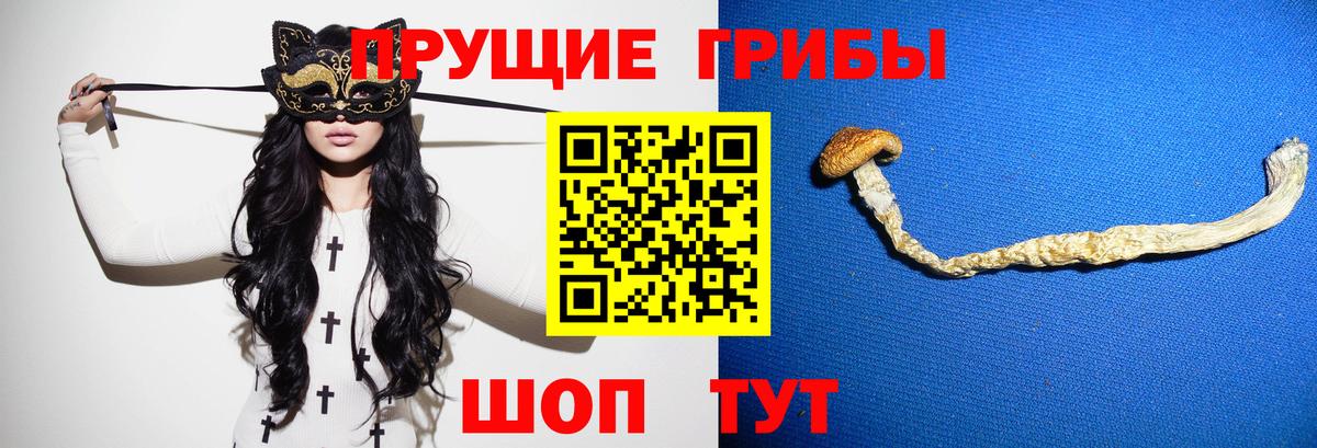Псилоцибиновые грибы прущие грибы Новочебоксарск